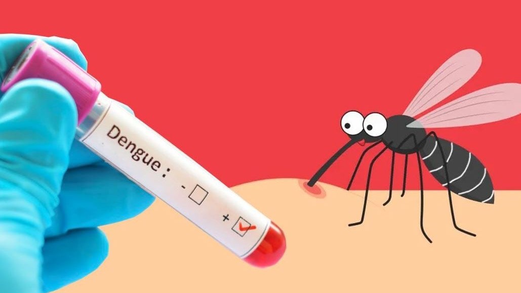 একদিনে ডেঙ্গুতে হাসপাতালে আরও ৫০৬ রোগী ভর্তি